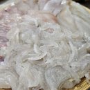 연초바다사냥