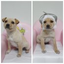 소답동225 이미지