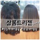 디자이너리아 이미지