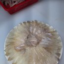 오광수산회센타