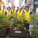 반송큰시장 이미지