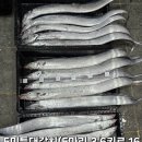 임여사수산 이미지