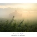 목장의아침 이미지