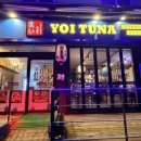 인생참치 | [여수 참치] 활어회파도 반해버린 인생 참치! '요이참치' 대뱃살 세트 솔직 후기 🐟🥂