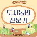 도시농업전문가 과정 | 수경재배 하는 법 도시농업전문가 자격증 교육과정 후기