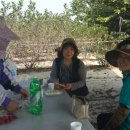 건희농장 이미지