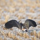 예산농장 이미지