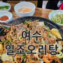 일조오리탕 이미지