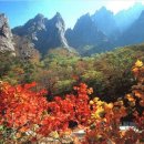 포이스트 이미지