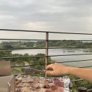 선화식당 네이버블로그