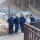 우면산3-29 이미지