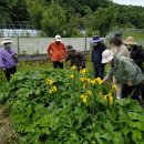 안산이농장 이미지