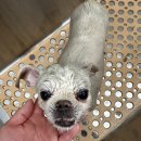 멍미살롱 이미지