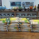 계명유치원 이미지