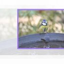 용산마취통증의학과의원 이미지