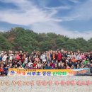 [01] 2025년 한탄강(주상절리,고석정꽃밭) 가을여행 버스투어 동영상(251026) 이미지