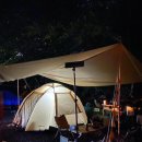 배내민박 | 계곡 평상 대여까지 가능한 경남 울산 “배내골 캠핑장 산책로”