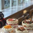 오로라케익하우스 이미지