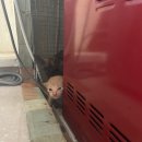 승구목장 | 외돌개, 오는정김밥, 카페 두가시, 쏭타이, 안덕면사무소, 성이시돌목장, 난드르바당, 초계명가, 휴일로