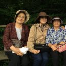 신설동경로당 이미지