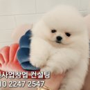 탑클래스 호텔·유치원 이미지