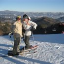 영환목장 이미지