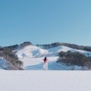 연세의원 이미지