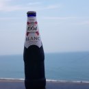 고래의 꿈 민박 이미지