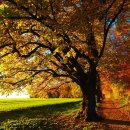 차사랑카정비 | 🍂 2025 경상남도 가을 단풍 여행 명소 5선