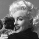 범 동물병원 이미지