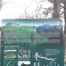 관음사 입구 주차장 이미지