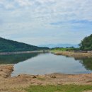 극락둑길 | 구례 천은사 상생의 길, 지리산치즈랜드, 야생화테마랜드.지리산정원. 구례생태숲