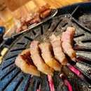 가양 제주 맛 돼지 티스토리