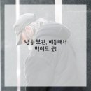 떡이야기 이미지