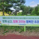 햇빛나눔 | 칼랑코에·일일초 키우기 | 대전 엑스포과학공원 여름꽃 무료 나눔 후기