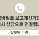 탈모왕수원 이미지