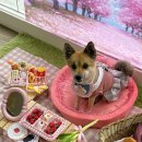 시온동물병원 이미지