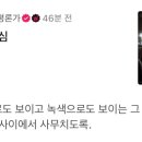 맹그로브신설 이미지