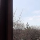 금일해당화해수욕장 네이버블로그