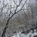 하빈농업협동조합 이미지