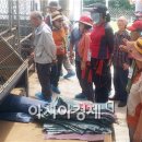 염소 농장 이미지
