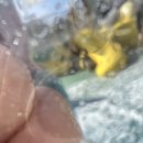 구산동 마을공원 이미지