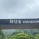 숲 | 곤지암 화담숲 탐방 솔직 후기