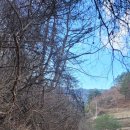 외씨버선길 이미지