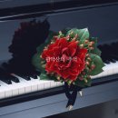 15. 베토벤 / 피아노 소나타 14번 `월광` (Piano Sonata No.14 in C# minor) Op.27-2 `Moonlight` 이미지