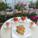 꿀맛붕어빵 이미지