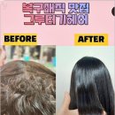 그루터기 - 제주시 조함해안로 428-18 | 그루터기