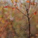 나루터로1-3 이미지