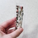 대백마트(수성범어점) | 🍬🍪 스위트팩토리 수성범어점 내돈내산 후기/천원 마카롱, 쫀득쿠키, 에그타르트