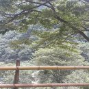 서당골캠핑장 이미지